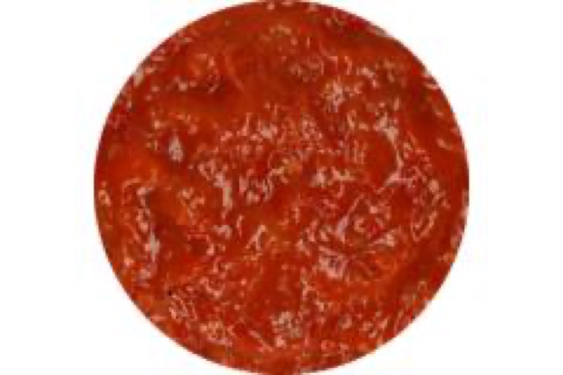 Salse Picante Saus Epos 2,5kg